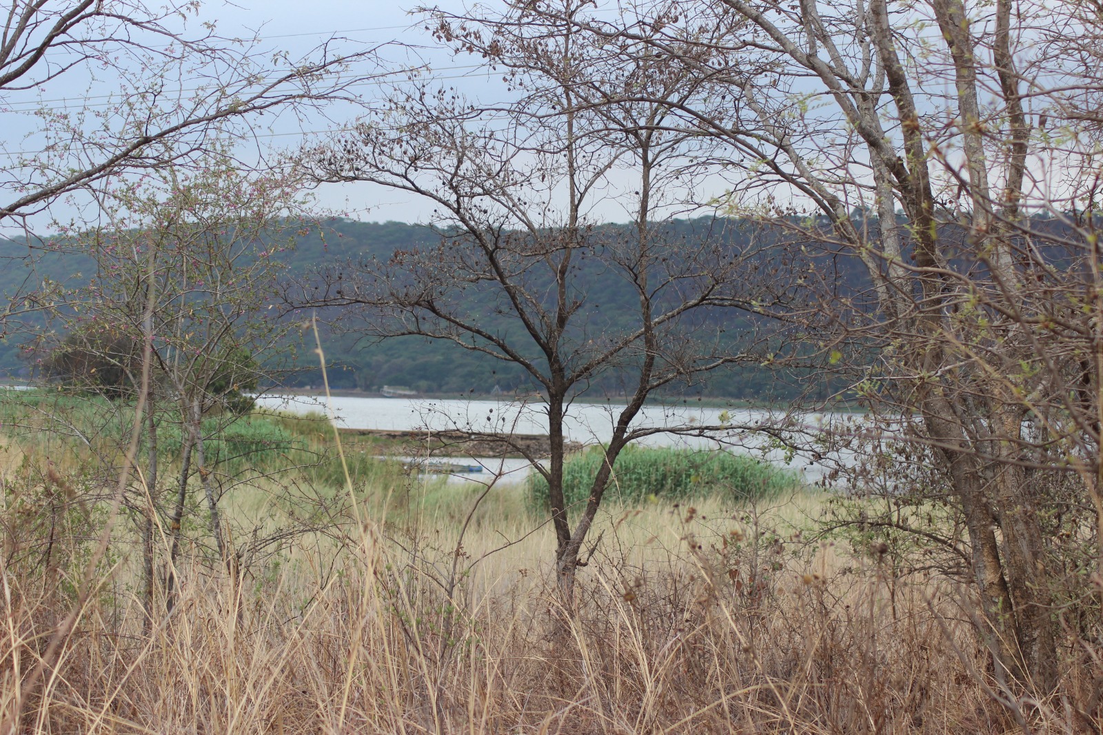 WhatsApp Image 2024-10-17 at 20.47.32 (2)